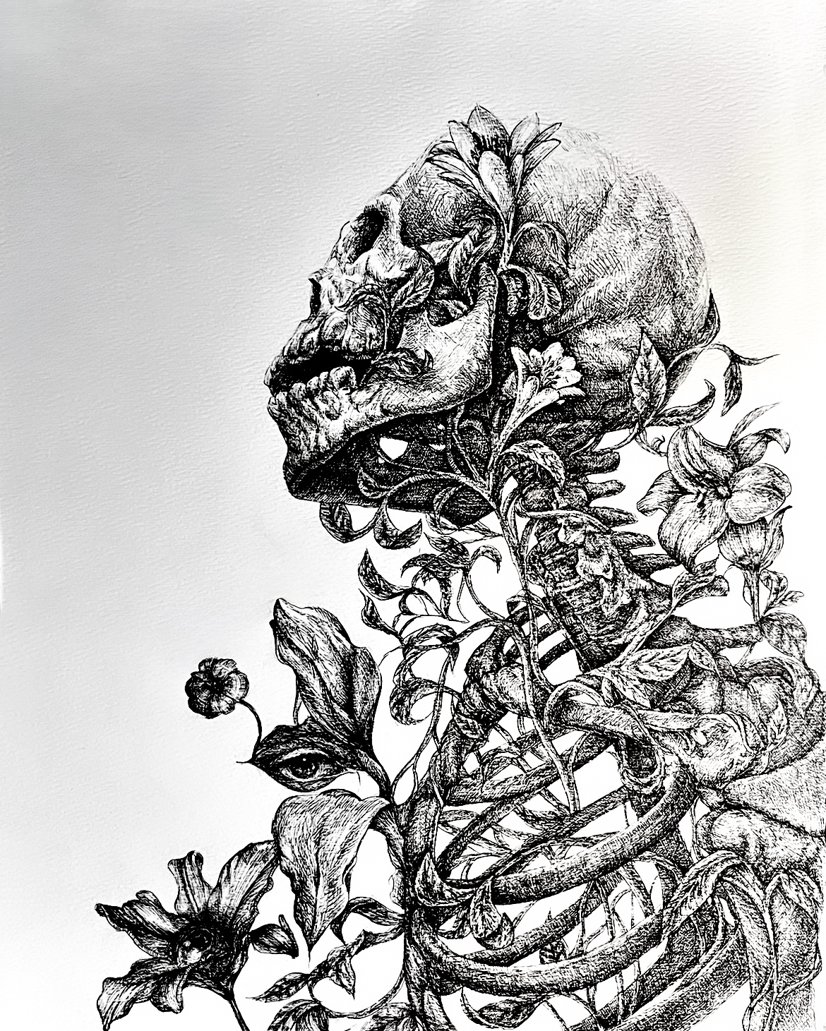 Skull